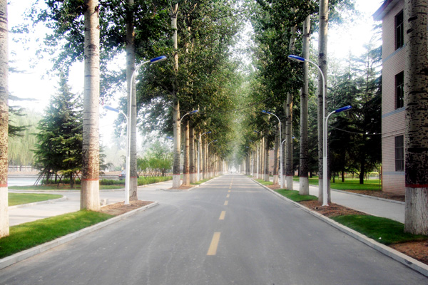 2013.5臨汾市堯都區政府室外工程